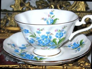 Royal Albert Forget - Me - Not Floral English Bone China Blue Teacup and Saucer Set 6