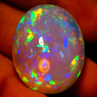 53.  00 Ct 30x24 Mm Investment Grade Extremely Rare Ethiopian Welo Opal - Ebb1