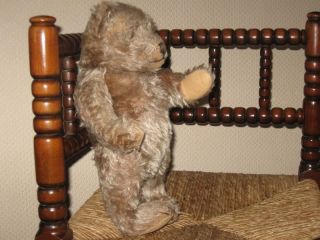 Antique 1940s Steiff Teddy Bear Jointed Gray Mohair 35 cm US ZONE 4