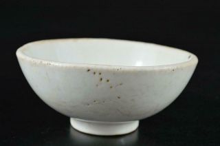 S3682: Japanese Old Seto - Ware White Porcelain Tea Bowl Chawan Tea Ceremony
