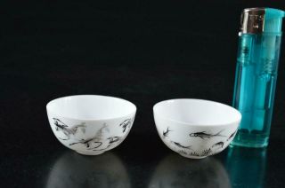 S3899: Chinese Pottery Colored porcelain Fish Shrimp Poetry pattern SAKE CUP 7