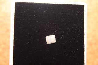 Behierite -.  60ct Gemstone From Madagascar (rarest Of Rare)