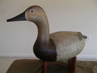 2000 Delaware River High Head Canvasback decoy pair by Bob White Tullytown,  PA 10