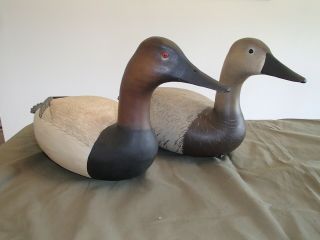 2000 Delaware River High Head Canvasback decoy pair by Bob White Tullytown,  PA 12