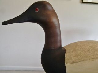 2000 Delaware River High Head Canvasback Decoy Pair By Bob White Tullytown,  Pa