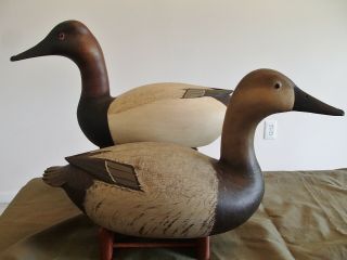 2000 Delaware River High Head Canvasback decoy pair by Bob White Tullytown,  PA 3