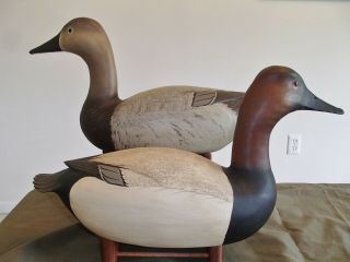 2000 Delaware River High Head Canvasback decoy pair by Bob White Tullytown,  PA 4