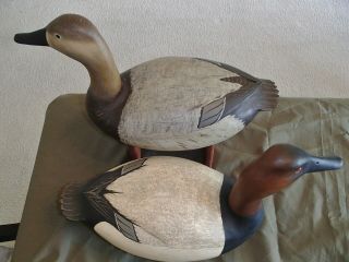 2000 Delaware River High Head Canvasback decoy pair by Bob White Tullytown,  PA 5