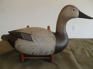 2000 Delaware River High Head Canvasback decoy pair by Bob White Tullytown,  PA 9