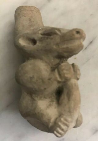 Pre - Columbian Ceramic Amulet Jama - Coaque 300 Bc - 400 Ad Ecuador Animal Effigy