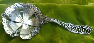 Hibiscus Honolulu Antique Hawaiian Sterling Silver Wall & Dougherty Pea Spoon