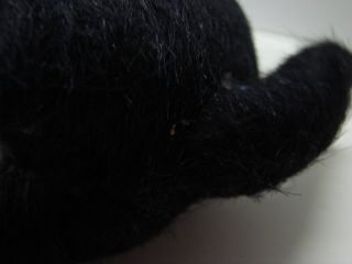 ANTIQUE GERMAN VELVETEEN BLACK CAT CANDY CONTAINER CA1910 7