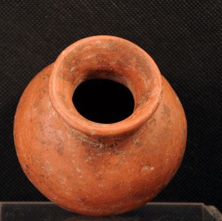 Pre - Columbian Chupicuaro / Colima Redware Olla Pot circa 100 BC - 250 AD 2