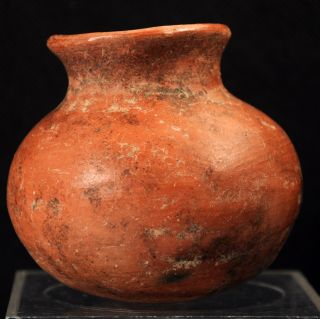 Pre - Columbian Chupicuaro / Colima Redware Olla Pot circa 100 BC - 250 AD 5