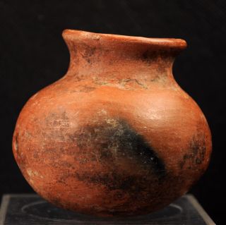 Pre - Columbian Chupicuaro / Colima Redware Olla Pot circa 100 BC - 250 AD 7