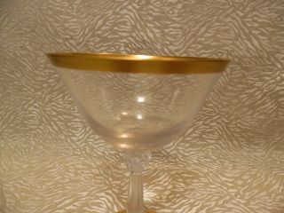 10 Antique Wine/Champagne Glasses With Gold Rim 5