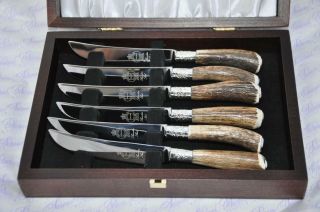 Six Rare Sambar Stag/antler Handle Steak Knives Silver Ferruled Cased Sheffield