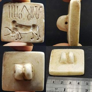 Pakistan Indus Valley Old Intaglio Cow & Writing Seal Stone Stamp 28