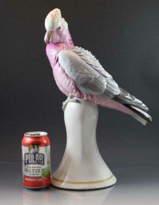 C1920 Signed Karl Ens German Porcelain Bird Figurine Cockatoo Parrot Large 12