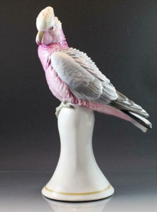 C1920 Signed Karl Ens German Porcelain Bird Figurine Cockatoo Parrot Large