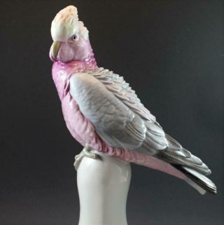 C1920 Signed Karl Ens German Porcelain Bird Figurine Cockatoo Parrot Large 2