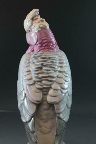 C1920 Signed Karl Ens German Porcelain Bird Figurine Cockatoo Parrot Large 4