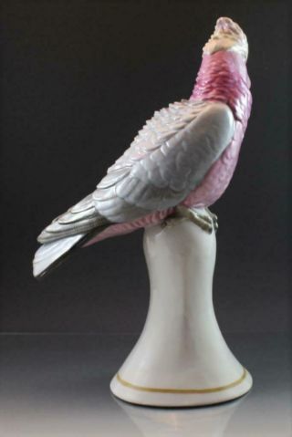 C1920 Signed Karl Ens German Porcelain Bird Figurine Cockatoo Parrot Large 5