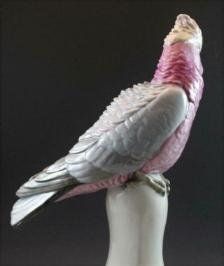 C1920 Signed Karl Ens German Porcelain Bird Figurine Cockatoo Parrot Large 6