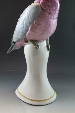 C1920 Signed Karl Ens German Porcelain Bird Figurine Cockatoo Parrot Large 7