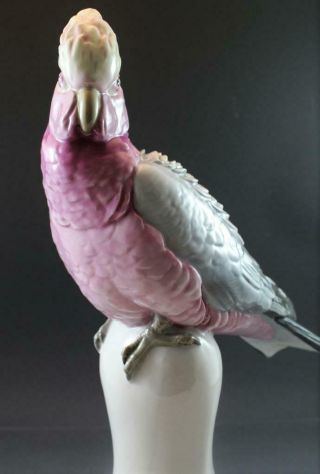 C1920 Signed Karl Ens German Porcelain Bird Figurine Cockatoo Parrot Large 8