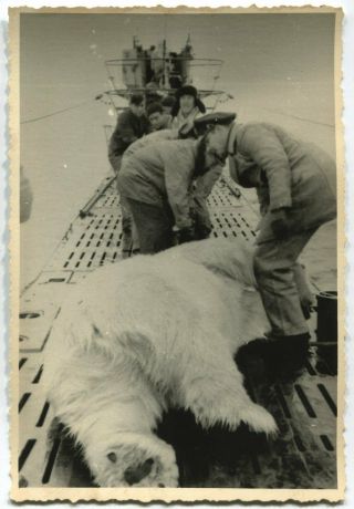 German Wwii Archive Photo: Kriegsmarine U - Boat In Arctic With Trophy