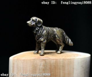 China Copper Bronze Feng Shui Animal Dog Puppy Dogs Wealth Statue M177