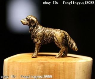 China Copper Bronze Feng Shui Animal Dog Puppy Dogs Wealth Statue M177 2