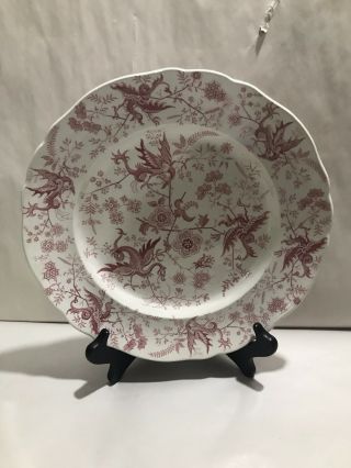 Antique Rare Staffordshire Red Transferware Plate Dragon 