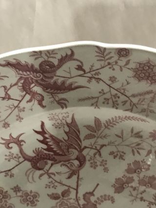 Antique Rare Staffordshire RED Transferware Plate Dragon  6