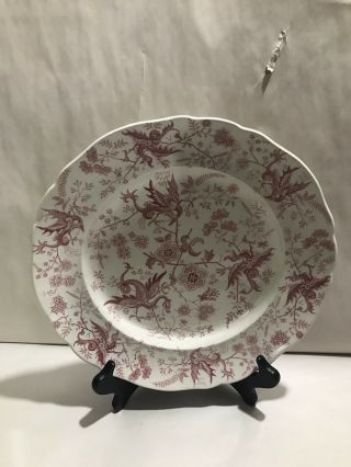 Antique Rare Staffordshire RED Transferware Plate Dragon  7