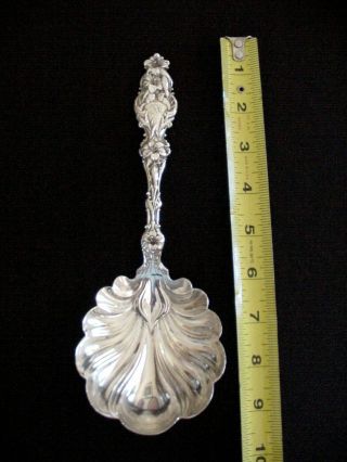 Whiting Sterling Silver Large Shell Berry / Casserole Spoon,  " Lily " Pattern - 9 "