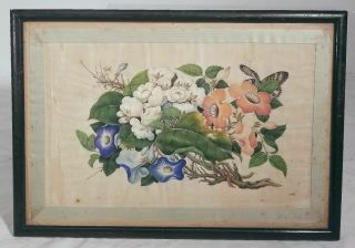 Antique Vintage Chinese Fine Early Export Painting Floral Study Pith Rice Paper