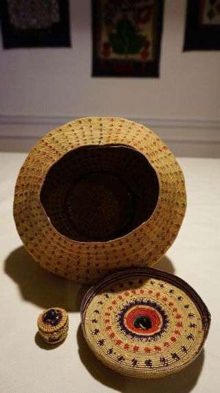 Very Rare Large Fine Weave Pacific NW Makah Nootka Knob Basket Ca.  1870 1890 ' s 10