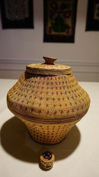 Very Rare Large Fine Weave Pacific NW Makah Nootka Knob Basket Ca.  1870 1890 ' s 3