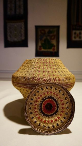 Very Rare Large Fine Weave Pacific NW Makah Nootka Knob Basket Ca.  1870 1890 ' s 8