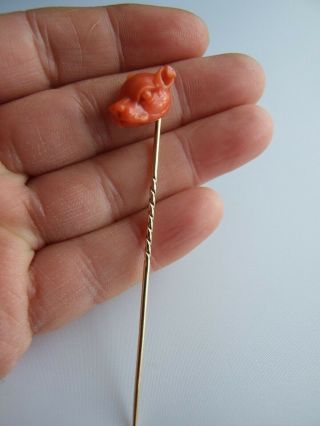 Antique Victorian Natural Red Coral Dog Head Gold Stick Pin