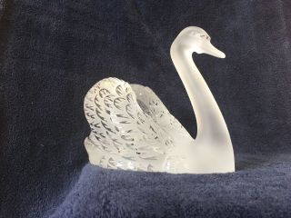 lalique crystal swan (head up) ; signed vintage, 10