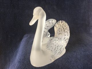 lalique crystal swan (head up) ; signed vintage, 2