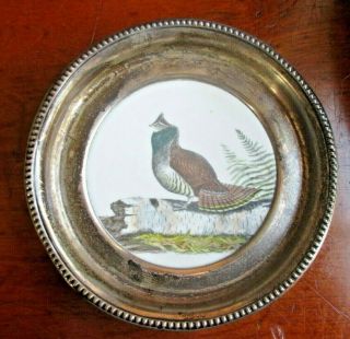 Antique Frank M.  Whiting " Ruffed Grouse " Sterling Silver Frame Porcelain England