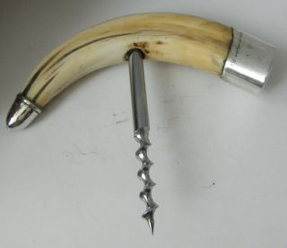Antique Sterling Silver On Antler Corkscrew Stag Horn J H Hallmark