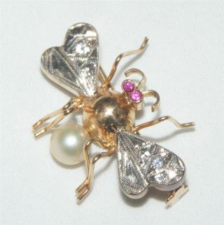 Antique Winged Insect Pin Brooch 14k Gold Ruby Diamond Pearl Victorian