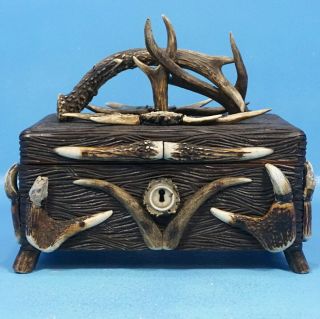 Antique German Black Forest Carved ANTLER HUMIDOR BOX Stag Rosette Hunt Dog Key 3