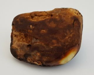 Stone Raw Amber Natural Baltic White Vintage Old Special Sea 278g Rare A - 316