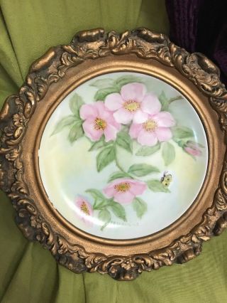 Antique Porcelain Plate - Hand Painted Flowers Butterfly Insect Paris 1880sframe